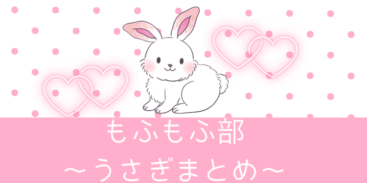 cook 今日なに作ろ？